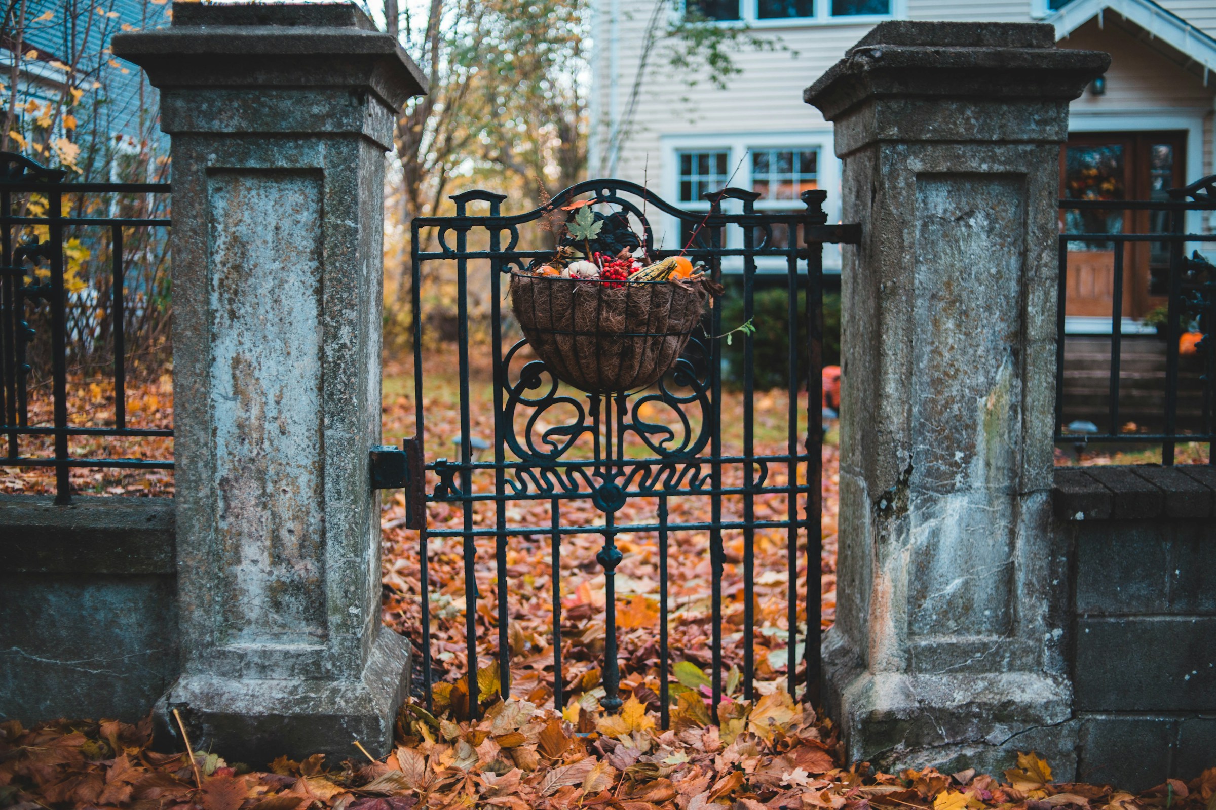 Decorative metal pedestrian gate and its surrounding fence